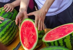 大学吃瓜贴吧,揭秘校园热点事件背后的真相与笑料