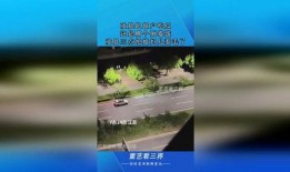 趴窗户吃瓜,揭秘趴窗户吃瓜的趣味生活