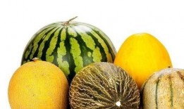 吃老蓝瓜好处,养生佳品，健康生活必备之选”