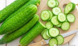 吃瓜吃到瓜地,一场关于瓜农与瓜食者的奇妙之旅