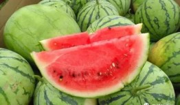 吃瓜的瓜怎么找,揭秘网络流行语的奥秘