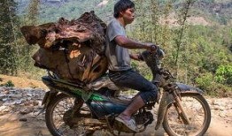 带你吃瓜奇葩小摩托,小摩托带你领略别样风味