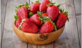 张典吃瓜草莓盆,一场甜蜜的田园邂逅