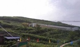 房县吃瓜群众事件,一场网络舆论的风波与反思