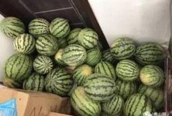 巨野谢苗苗吃瓜视频,揭秘幕后故事