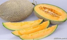 吃蜜瓜去口臭吗怎么吃,正确食用方法与神奇效果揭秘